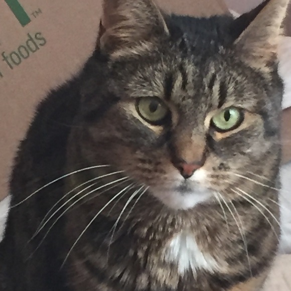 Meet your Posher, Donna - Picture 3 of 4